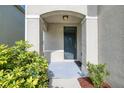 Inviting front porch with a dark green door, decorative pillars, and lush landscaping at 16849 Trite Bend St, Wimauma, FL 33598
