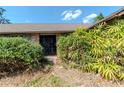 Exterior entrance to house surrounded by hedges and mature foliage at 5101 Estates Cir, Sarasota, FL 34243