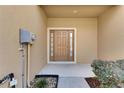 Welcoming home entrance featuring a stylish front door and landscaped surroundings at 8421 Pine River Rd, Tampa, FL 33637
