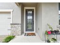 View of a front door with decorative glass and stone accents, enhancing the home's curb appeal at 6228 Dutton Dr, Wesley Chapel, FL 33545