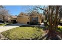 Charming single-story home featuring a well-manicured lawn, covered entry and an attached two car garage at 8906 Iron Oak Ave, Tampa, FL 33647