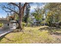 Expansive backyard featuring a well-maintained lawn, mature trees, and lush landscaping at 206 W Minnehaha St, Tampa, FL 33604