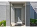 Close-up of a modern gray front door with gray surrounding columns and landscaped shrubbery at 4106 Waterside Island Ct, Tampa, FL 33617