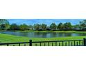 Picturesque view of the pond and beautiful greenery from the backyard, creating a serene atmosphere at 5115 Abisher Wood Ln, Brandon, FL 33511
