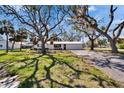 Charming single-story home featuring a mature landscaped yard with beautiful trees and a private driveway at 1019 Canal St, Ruskin, FL 33570