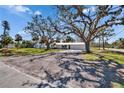 A home with mature trees providing shade, a well-kept lawn, and a driveway leading up to the residence at 1019 Canal St, Ruskin, FL 33570