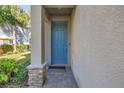 Close-up of blue front door with stone accents and well-maintained landscaping at 1109 Lady Gouldian Ct, Tampa, FL 33613