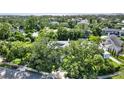 Lush aerial view of the property, nestled among mature trees in a neighborhood setting, showcasing its privacy at 407 S West Shore Blvd, Tampa, FL 33609