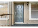 Close-up of the front door to unit 101 with clean gray paint and adjacent windows at 14211 Shadow Moss Ln # 101, Tampa, FL 33613