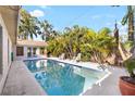 Backyard swimming pool surrounded by palm trees and white lounge chairs at 3603 Marco Dr, Tampa, FL 33614