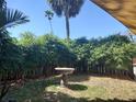 Private backyard featuring lush bamboo, a bird bath, and palm trees at 1044 Virginia Dr, Sarasota, FL 34234