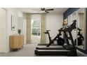 Inviting exercise room showcasing a stationary bike and treadmill, illuminated by natural light from a nearby window at 13035 Ruby Gold Ct, Wimauma, FL 33598