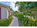 Well-maintained walkway surrounded by lush green bushes and a variety of plants at 1171 Corinth Greens Dr, Sun City Center, FL 33573