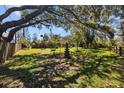 Expansive backyard features mature trees providing ample shade, ideal for outdoor enjoyment and relaxation at 17119 Rainbow Ter, Odessa, FL 33556