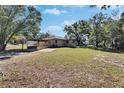 A large, grassy backyard with mature trees provides ample space for outdoor activities at 2606 N Boulevard, Tampa, FL 33602
