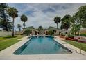 Inviting swimming pool surrounded by mature palm trees and lush landscaping at 820 Druid S Rd, Clearwater, FL 33756