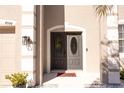 Close-up of a stylish front door, featuring decorative glass and enhanced curb appeal at 8556 Tidal Bay Ln, Tampa, FL 33635