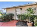 Charming entranceway with a white trimmed door, an outdoor light fixture and a potted tree at 2175 Corinne S Ct # A, St Petersburg, FL 33712