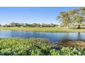 Scenic pond view surrounded by lush greenery, offering a tranquil and picturesque setting at 2175 Corinne S Ct # A, St Petersburg, FL 33712