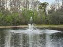 Pond view with water fountain at 12155 Environmental Dr # 6, New Port Richey, FL 34654