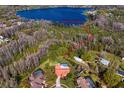 Aerial view shows access to the lake via boardwalk from property at 18312 Pleasant Ridge Pl, Lutz, FL 33548