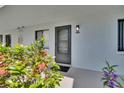 Unit 313 boasts a welcoming entrance, framed by vibrant foliage, offering a private and inviting arrival at 313 Martha Ln # 4, Oldsmar, FL 34677