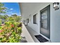 Pathway leading to Unit 313 entrance, lined with colorful plants, offers a pleasant welcome at 313 Martha Ln # 4, Oldsmar, FL 34677