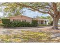 Charming single-story home featuring a well-manicured lawn and mature trees providing ample shade at 4517 S Renellie Dr, Tampa, FL 33611