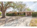 Charming single-story home featuring a well-manicured lawn and mature trees providing ample shade at 4517 S Renellie Dr, Tampa, FL 33611