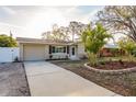 Charming single-story home with landscaped yard and well-maintained lawn at 2005 Harvard Ave, Dunedin, FL 34698