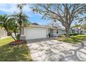 Single-story home showcasing lush palm trees, landscaped front yard, and a two-car garage at 2519 Southern Oak Cir, Clearwater, FL 33764