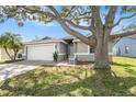 Single-story home showcasing lush palm trees, landscaped front yard, and a two-car garage at 2519 Southern Oak Cir, Clearwater, FL 33764