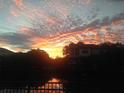 Picturesque sunset view from the waterfront property, framed by lush greenery at 2107 S West Shore Blvd, Tampa, FL 33629