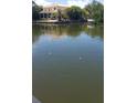 Beautiful waterfront home reflected on the water with tropical vegetation along the shoreline at 2107 S West Shore Blvd, Tampa, FL 33629