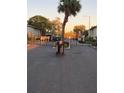 Secured community entrance featuring a metal gate and mature trees, ensuring privacy at 224 Red Maple Pl # 224, Brandon, FL 33510
