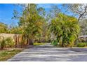 Long driveway lined with lush, mature palms creating a private, tropical entrance to the property at 7201 Hodgewood Ct, Tampa, FL 33614
