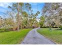 Long driveway lined with chain link fence and mature trees, enhancing curb appeal at 7201 Hodgewood Ct, Tampa, FL 33614