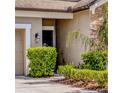 Inviting entrance with manicured hedges surrounding front door, natural stone accents, and well maintained walkway at 1307 Garden Stone Ln, Brandon, FL 33510