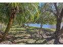 Lush backyard featuring mature trees and landscaping overlooking the tranquil waterfront at 10211 Quails Landing Ave, Tampa, FL 33647