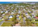 An aerial shot presents a quaint neighborhood, dotted with mature trees, and the house being sold is marked by an arrow at 7415 S Obrien St, Tampa, FL 33616