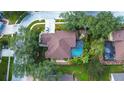 Aerial view of a private backyard oasis with a sparkling pool, lush landscaping and mature trees at 10130 Paddock Oaks Dr, Riverview, FL 33569