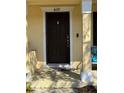 Close up view of front door, address number, and entry way at 4632 Chatterton Way, Riverview, FL 33578