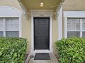 Close-up of the front door, showcasing the house number, decorative trim, and well-maintained landscaping at 1256 Redondo Way, Wesley Chapel, FL 33543
