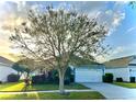 Quaint home featuring beautiful landscaping and a well-maintained front yard at 11566 Balintore Dr, Riverview, FL 33579