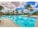 Resort-style community pool surrounded by palm trees, lounge chairs, cabanas, and blue sky, perfect for relaxation at 11605 Cleyera Ct, Riverview, FL 33579