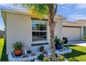 Close-up of a beautifully landscaped garden bed with flowers, greenery, and a palm tree at 1615 Redmond Brook Ln, Ruskin, FL 33570