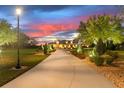 Long driveway to a stately home under a colorful sky with manicured landscaping at 13206 Lewis Raulerson Road, Dover, FL 33527