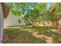 Spacious backyard featuring a mature tree, wooden fence, and lush green grass at 710 E Plymouth St, Tampa, FL 33603