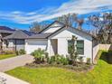 Charming single-Gathering home with a two-car garage and well-maintained landscaping at 9802 Carabiner Way, Land O Lakes, FL 34637
