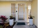 Close up of Front door featuring decorative security screen and potted plants at 2005 N Pointe Alexis Dr, Tarpon Springs, FL 34689
